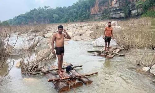 पुष्पा-स्टाइल में सागौन तस्करी :  नदी में बहाई जा रही थी बेशकीमती लकड़ियां