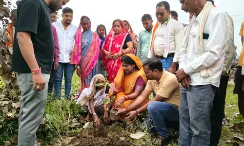 पीपल पेड़ की याद में बनेगा हनुमान मंदिर : वृद्धा के हाथों कराया गया भूमिपूजन, स्थानीय विधायक और जनपद सदस्य देंगे पैसे