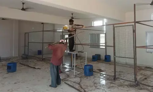 कुत्ता बधियाकरण