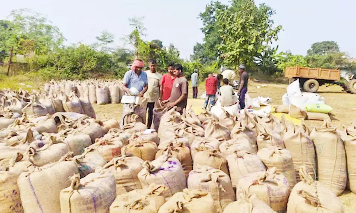 धान खरीदी पर बड़ी खबर : किसानों को 9 नवंबर से ऑनलाइन मिलेगा टोकन धान खरीदी पर बड़ी खबर : किसानों को 9 नवंबर से ऑनलाइन मिलेगा टोकन