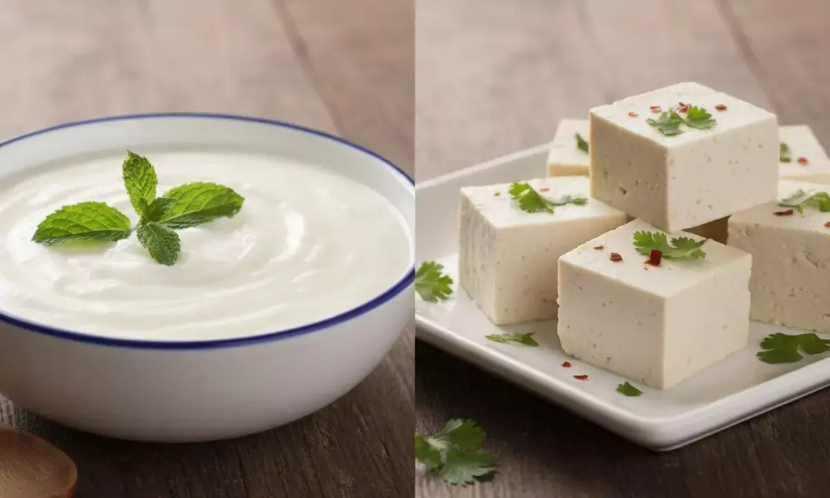 curd vs soya paneer which is more beneficial curd vs soya paneer which is more beneficial