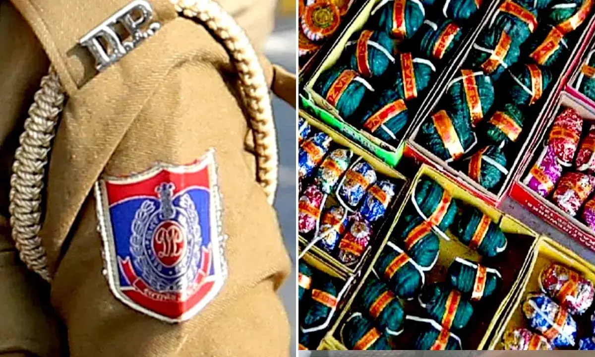 Delhi Police seized 724 kg illegal firecrackers and 2 arrested