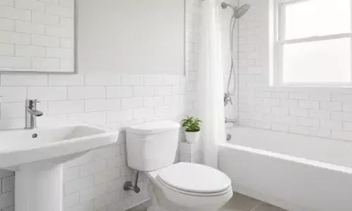 बाथरूम को कैसे करें साफ