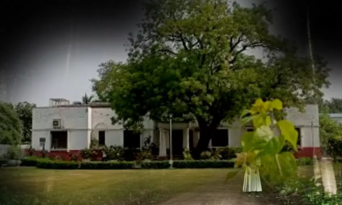 Delhi Bungalow Mystery