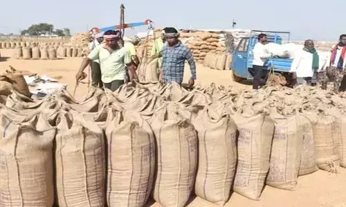 धान खरीदी