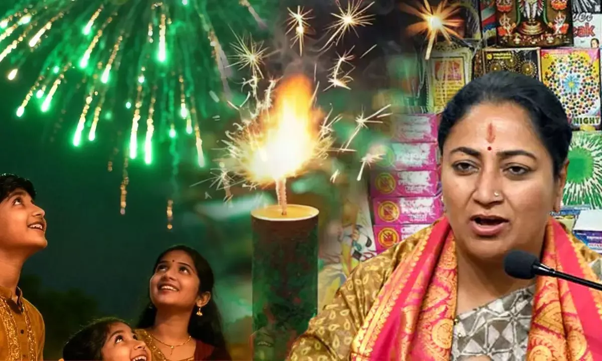 Delhi Green Firecrackers Sale