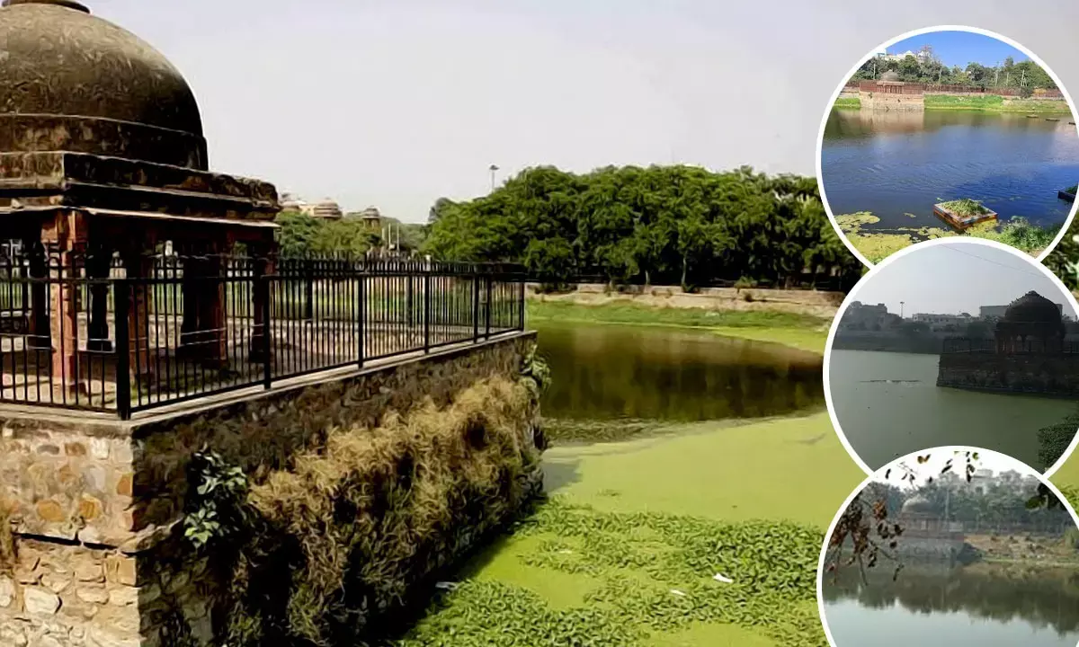 दिल्ली की हौज-ए-शम्सी झील दिल्ली की हौज-ए-शम्सी झील