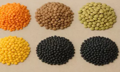 दालों के फायदे