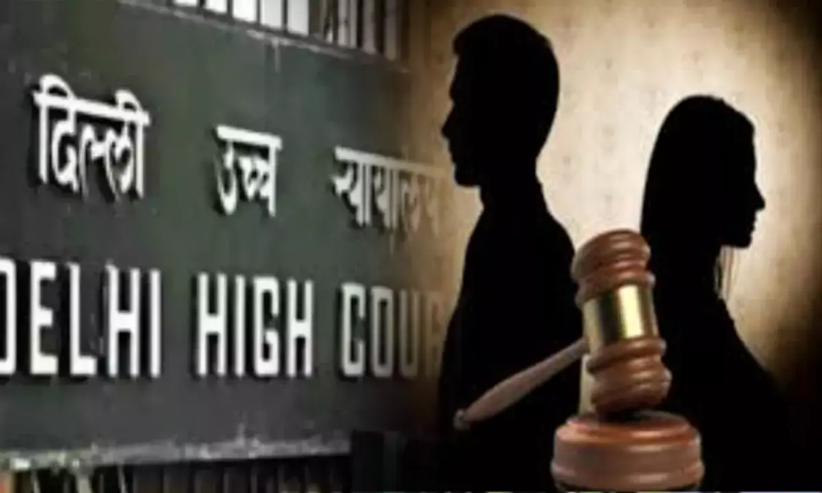 Delhi High Court Decision on Alimony