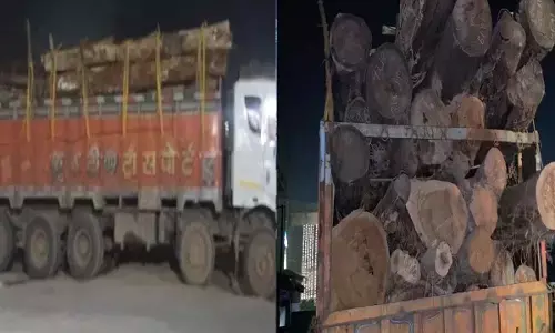 वन विभाग की बड़ी कार्रवाई : अवैध साल लकड़ी के साथ ट्रक जब्त