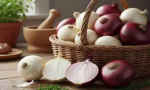 white and red onion properties difference