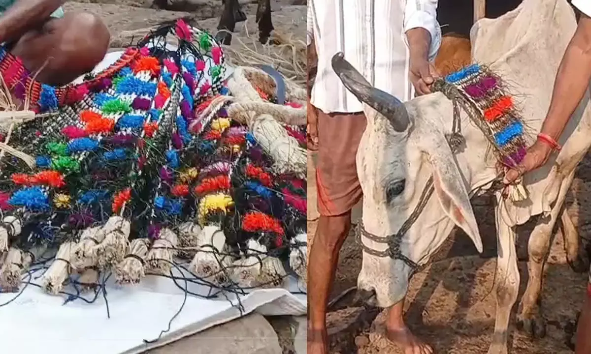 गोवर्धन पूजा विशेष