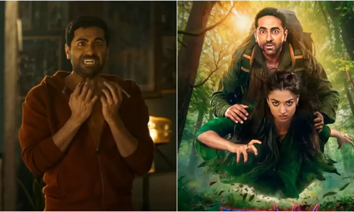 थामा बॉक्स ऑफिस कलेक्शन