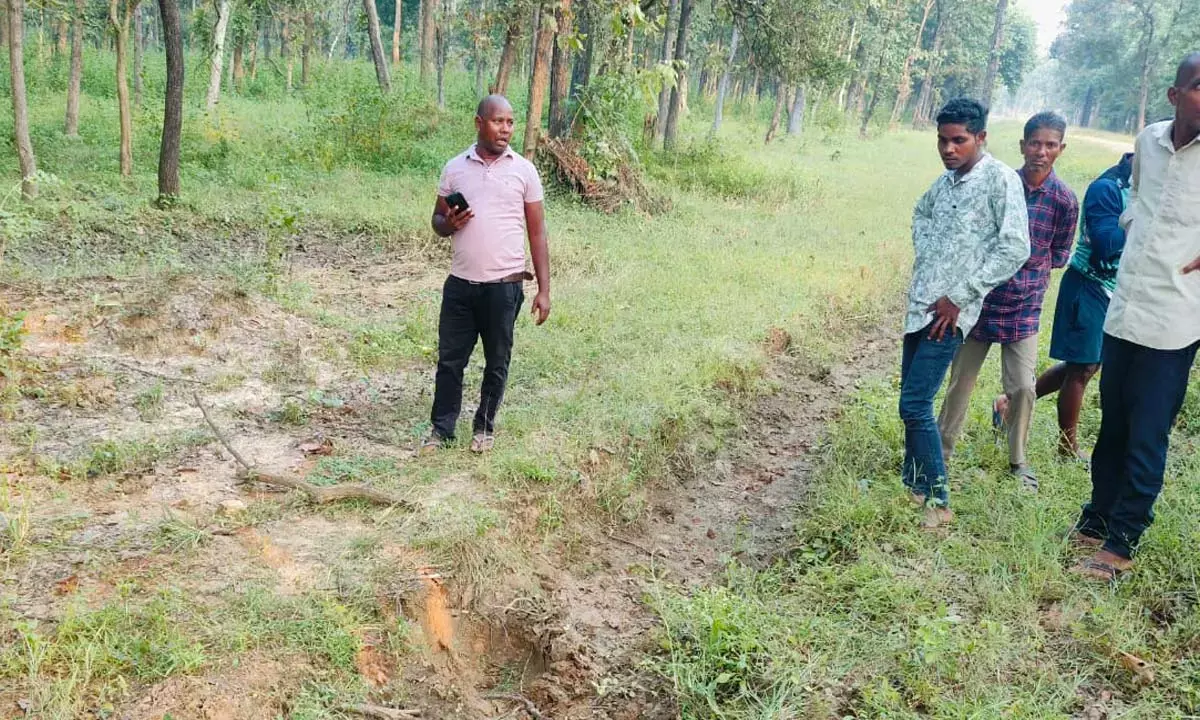 हाथी के हमले में बुजुर्ग की दर्दनाक मौत