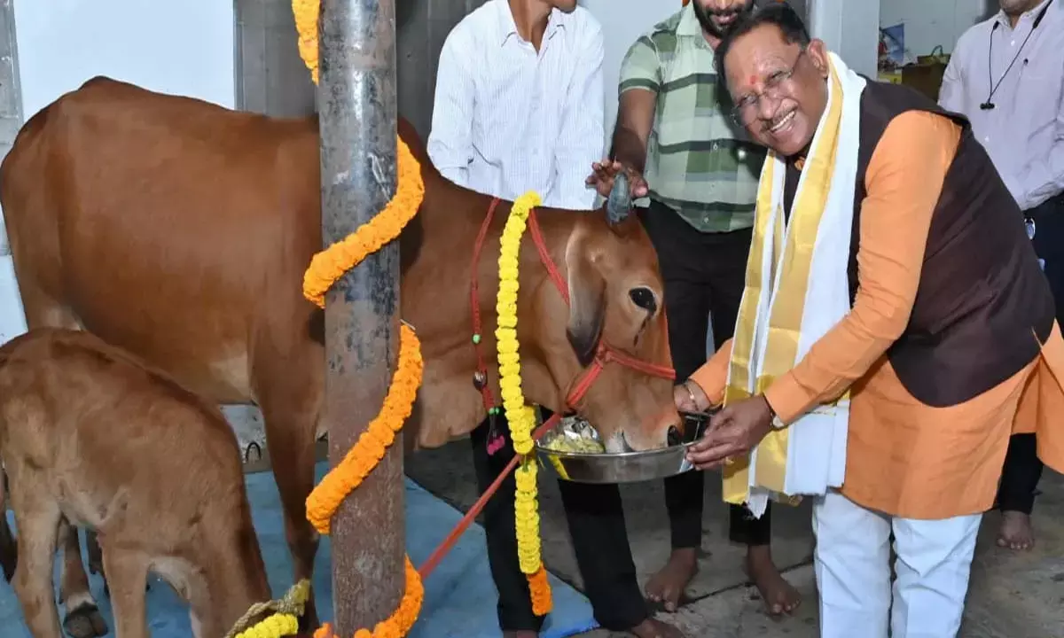 मुख्यमंत्री साय ने किया गौपूजन, मांगी प्रदेशवासियों की सुख-समृद्धि