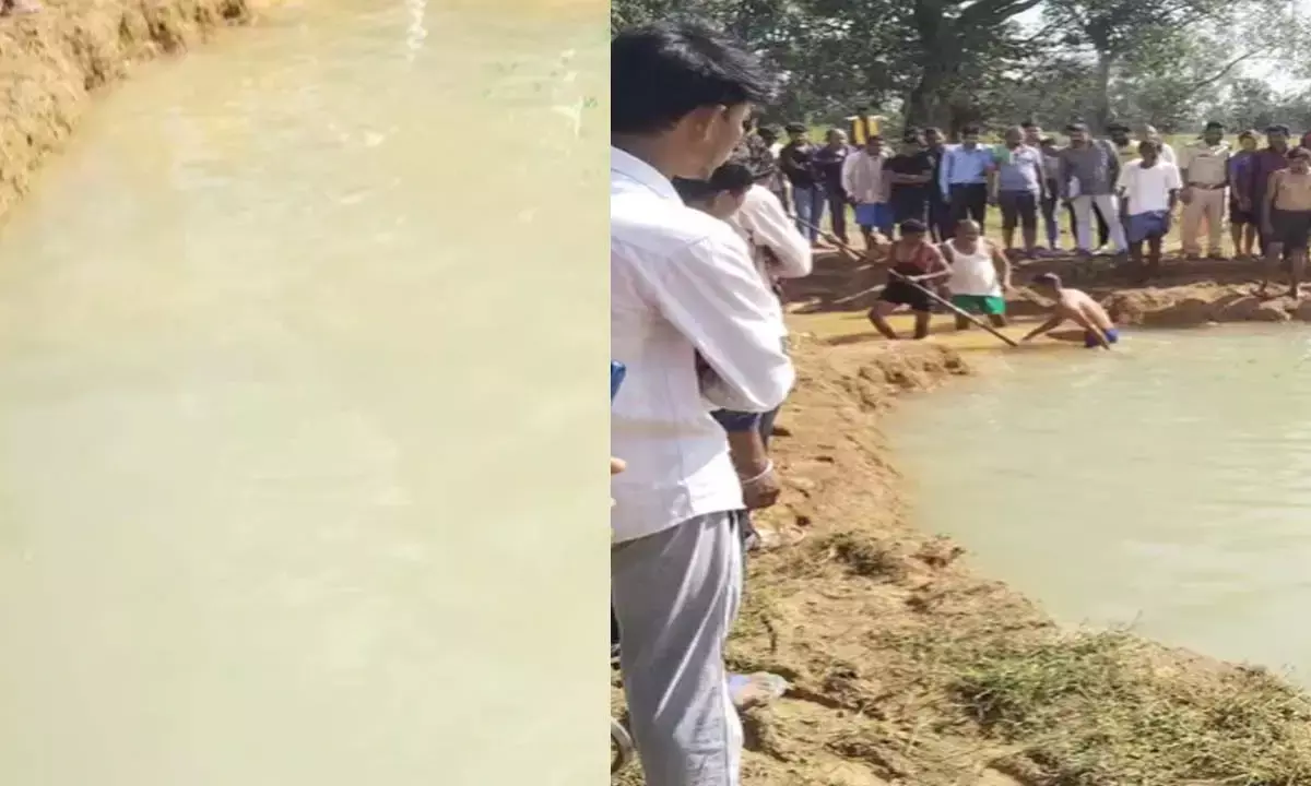 तालाब में डूबने से पिता- पुत्र की मौत : मधुमक्खियों से बचने के लिए लगा दी छलांग