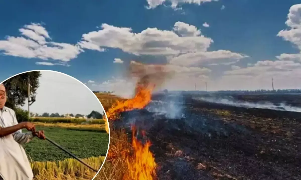 Stubble Burning Issue Punjab