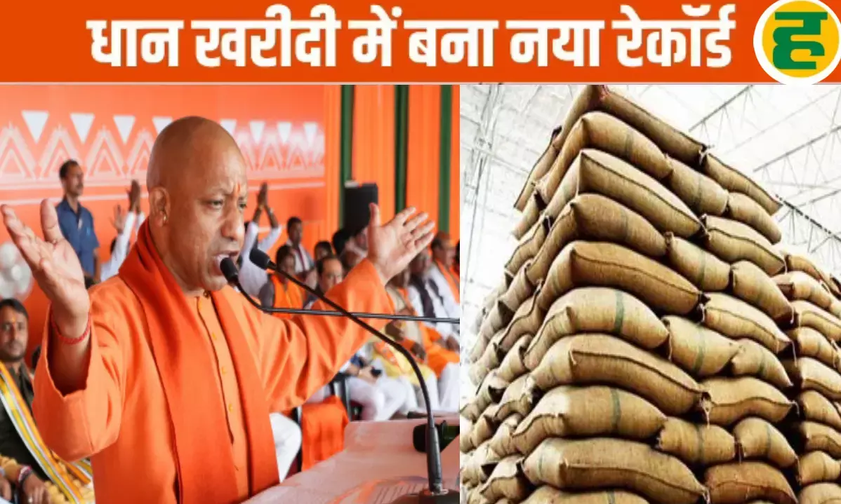यूपी में धान खरीद ने पकड़ी रफ्तार, 23 दिन में 35 हजार मीट्रिक टन से अधिक खरीद यूपी में धान खरीद ने पकड़ी रफ्तार, 23 दिन में 35 हजार मीट्रिक टन से अधिक खरीद