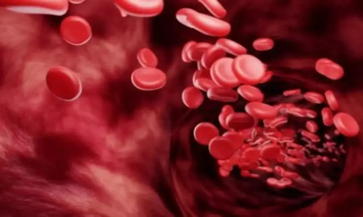 खून की कमी दूर करने का उपाय