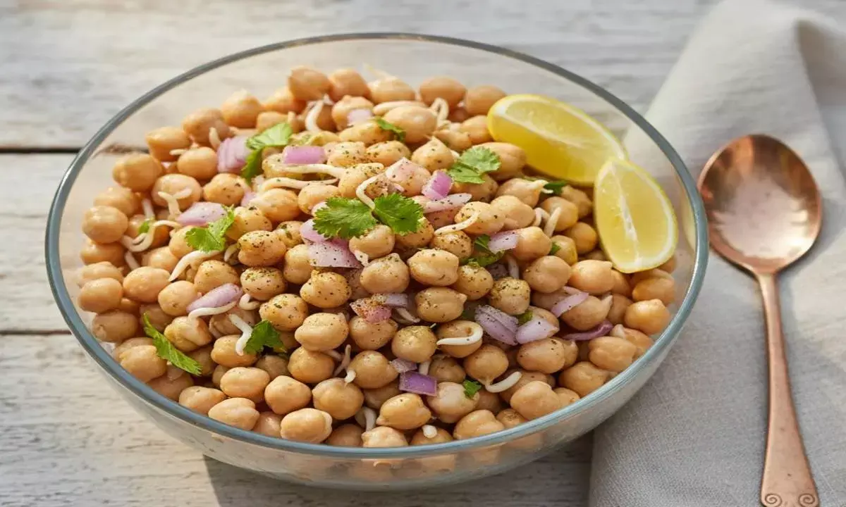 sprouted chickpeas benefits ankurit chana khane ke fayde sprouted chickpeas benefits ankurit chana khane ke fayde