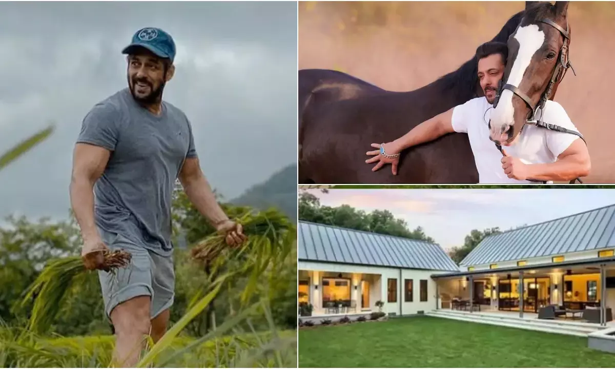 सलमान खान का पनवेल में स्थित फार्महाउस 150 एकड़ में फैला है। देखिए इसके अंदर की झलक