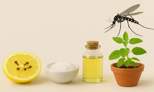 mosquitoes home remedies mosquitoes home remedies