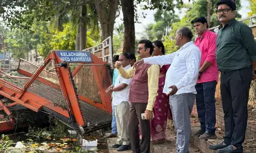 छठ महापर्व की तैयारी पर महापौर का फोकस : संजय पाण्डेय ने घाटों का किया निरीक्षण, स्वच्छता और सुरक्षा व्यवस्था के दिए निर्देश