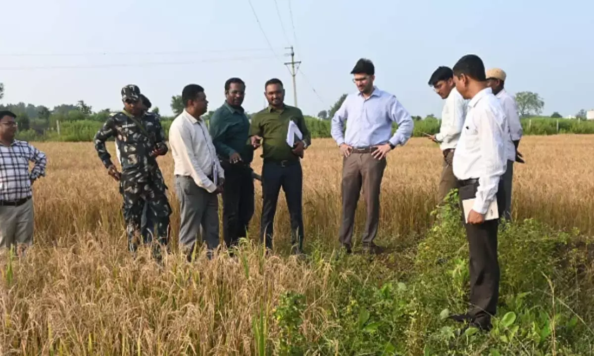 कलेक्टर ने खेतों में किसानों के बीच जाकर डिजिटल क्रॉप सर्वे और पंजीयन की प्रक्रिया देखी