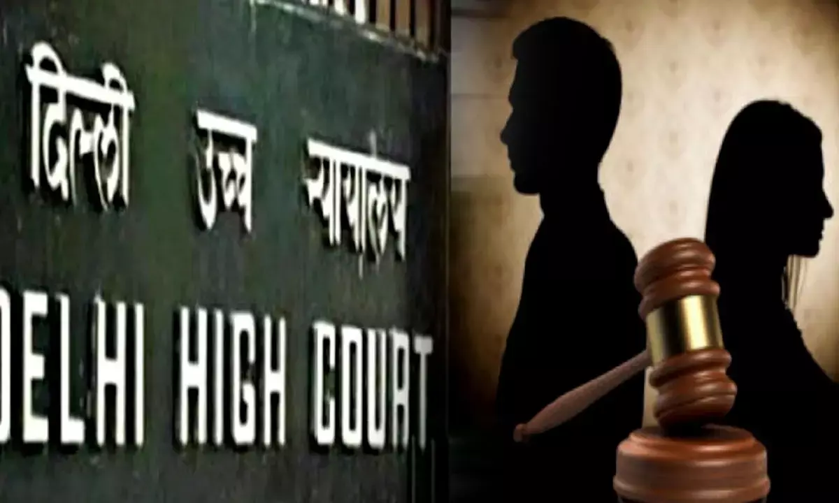 Delhi High Court decision on Divorce Case