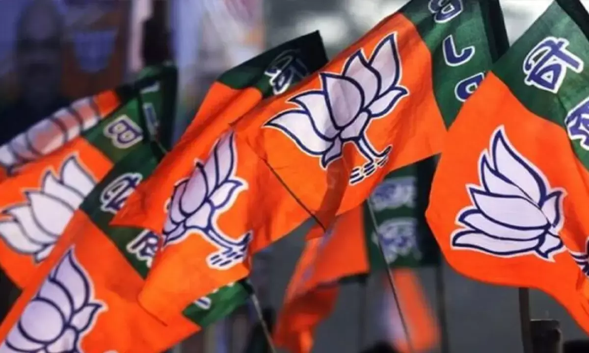 BJP Bihar Election Strategy