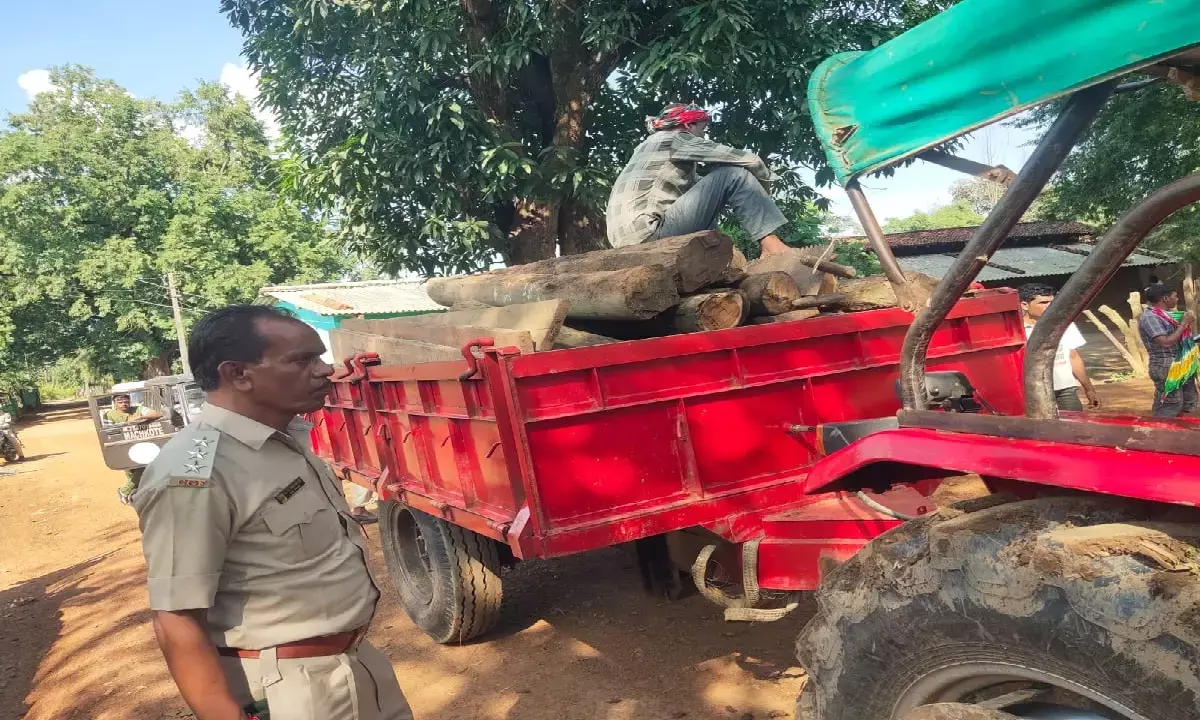 एक्शन में वन विभाग : 7 ग्रामीणों के घर और बाड़ी में मारा छापा, डेढ़ लाख की इमारती लकड़ियां जब्त