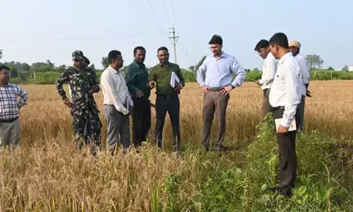 कलेक्टर ने खेतों में किसानों के बीच जाकर डिजिटल क्रॉप सर्वे और पंजीयन की प्रक्रिया देखी