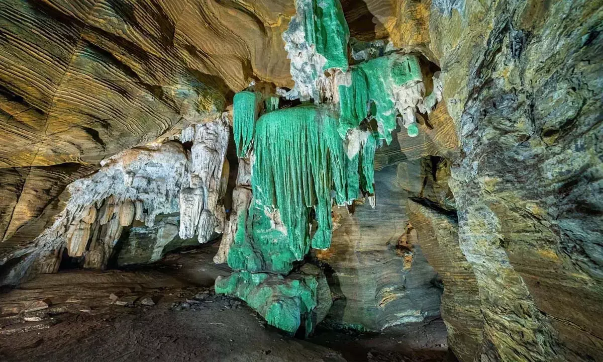 कांगेरघाटी में ग्रीन गुफा की खोज : मिला 200 मीटर का रहस्यमयी गलियारा कांगेरघाटी में ग्रीन गुफा की खोज : मिला 200 मीटर का रहस्यमयी गलियारा