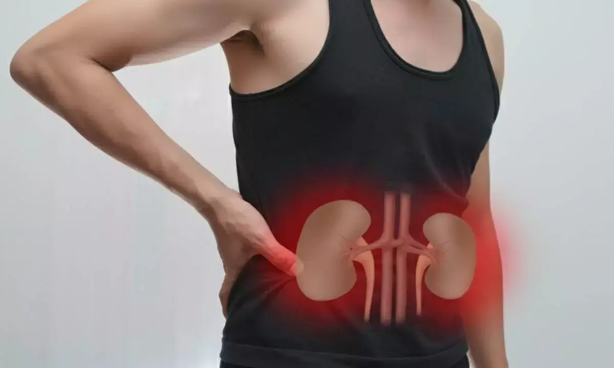 kidney health tips