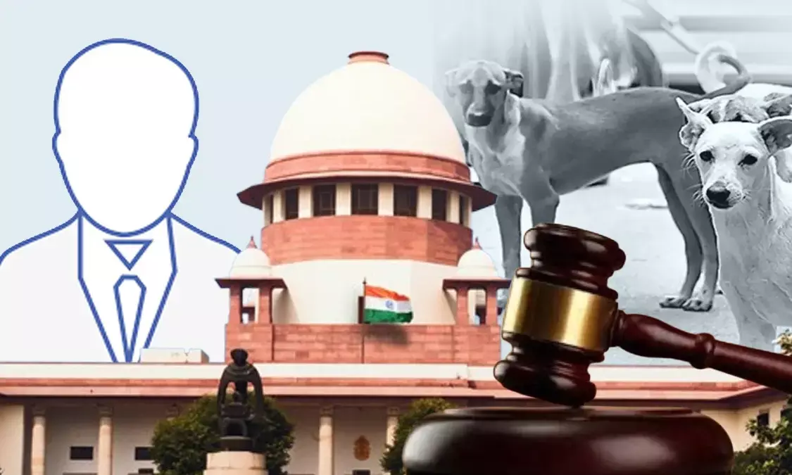 Supreme Court On Stray Dogs Issue