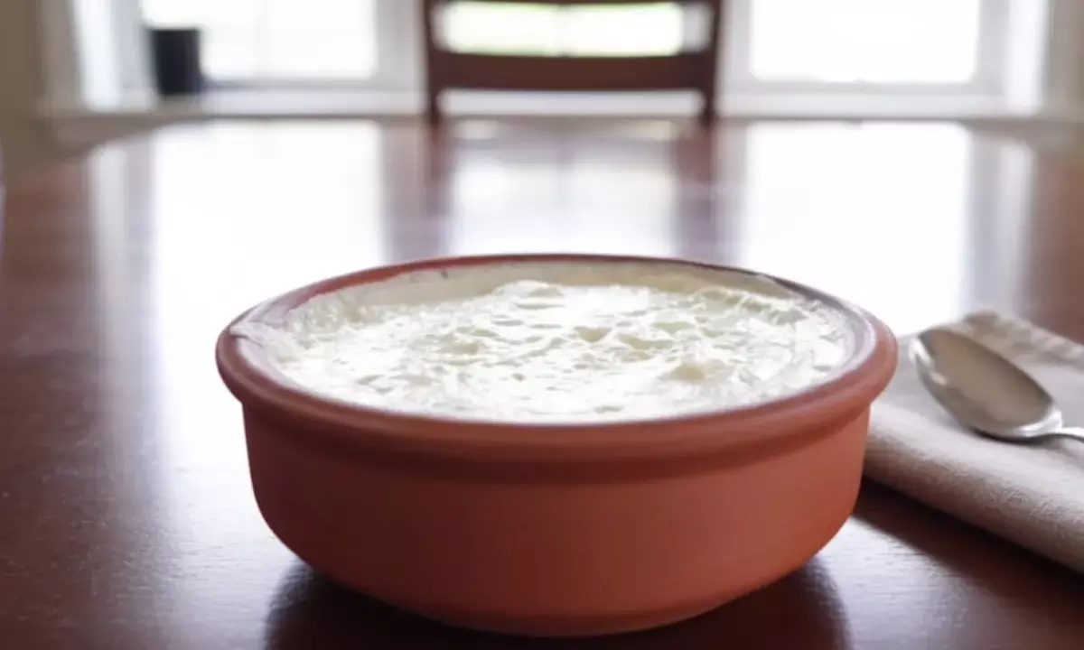 how to make thick cream from milk