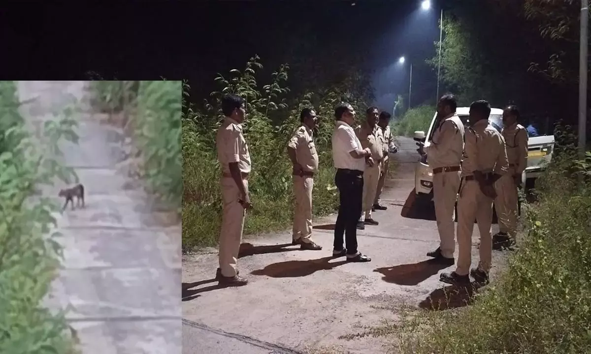 वन विभाग ने ग्रामीणों को किया सतर्क, रेस्क्यू ऑपरेशन जारी