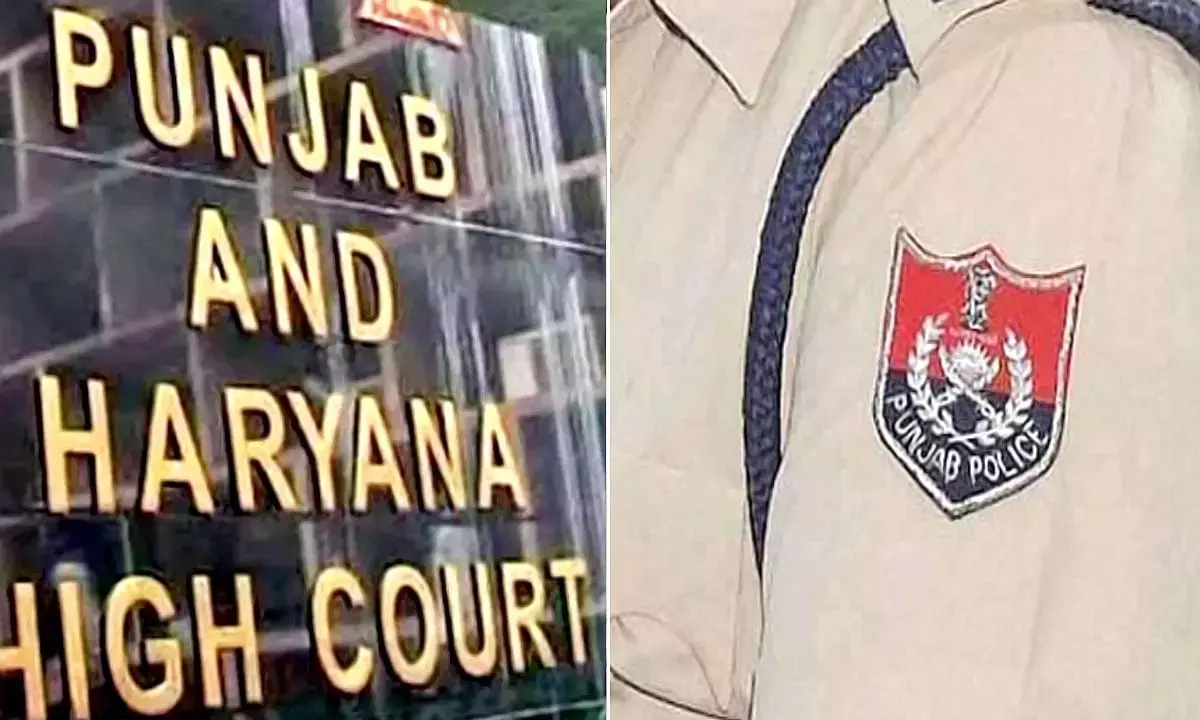 Punjab Haryana High Court