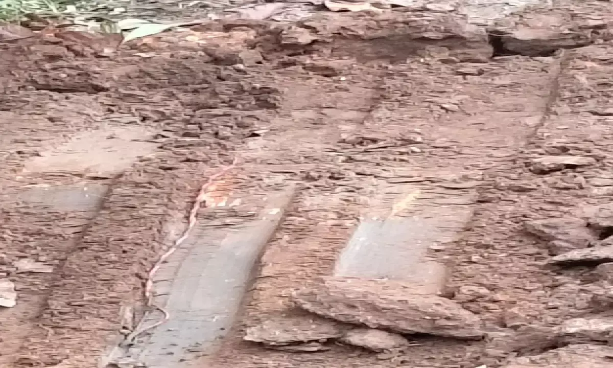 नक्सलियों के नाकाम मंसूबे नाकाम : जवानों ने 40 किलो का आईईडी को किया निष्क्रिय, देखें वीडियो