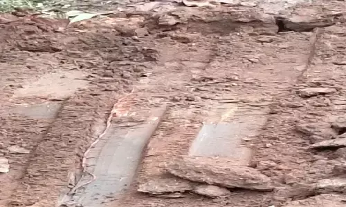 नक्सलियों के नाकाम मंसूबे नाकाम : जवानों ने 40 किलो का आईईडी को किया निष्क्रिय, देखें वीडियो नक्सलियों के नाकाम मंसूबे नाकाम : जवानों ने 40 किलो का आईईडी को किया निष्क्रिय, देखें वीडियो