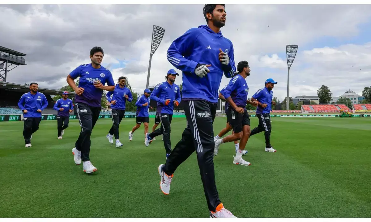 India vs Australia canberra manuka oval pitch report