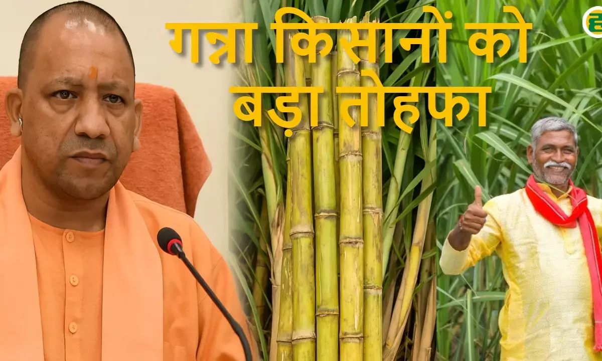 Yogi sarkar increases sugarcane prices: पेराई सत्र 2025-26 के लिए गन्ना मूल्य में 30 प्रति कुंतल की वृद्धि  ऐलान किया गया है।