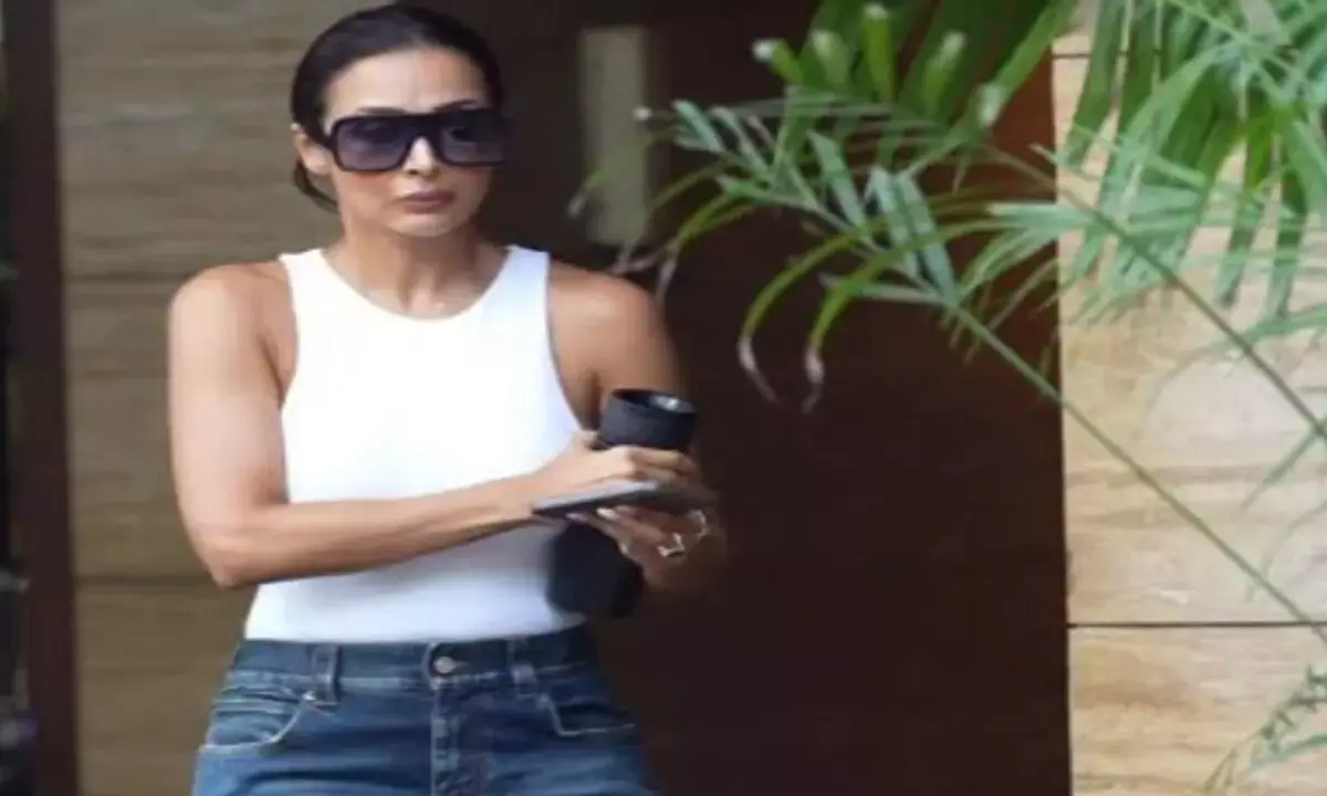 एक्ट्रेस मलाइका अरोड़ा का स्टाइलिश लुक