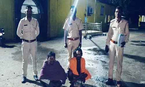 करंट से हाथी की मौत : शिकार की नीयत से तार बिछाने वाले दो आरोपी और गिरफ्तार