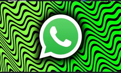 WhatsApp new Cover Photo feature