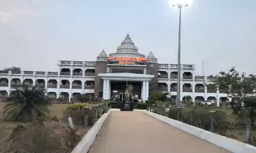 बेमेतरा जिले में अल्पवर्षा : ग्रीष्मकालीन धान बोने पर कलेक्टर ने लगाई रोक, सब्जियां-दलहन और फलदार फसलें लेने की अपील