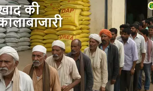 Fertilizer Black Marketing in bhopal Madhya Pradesh Latest news hindi