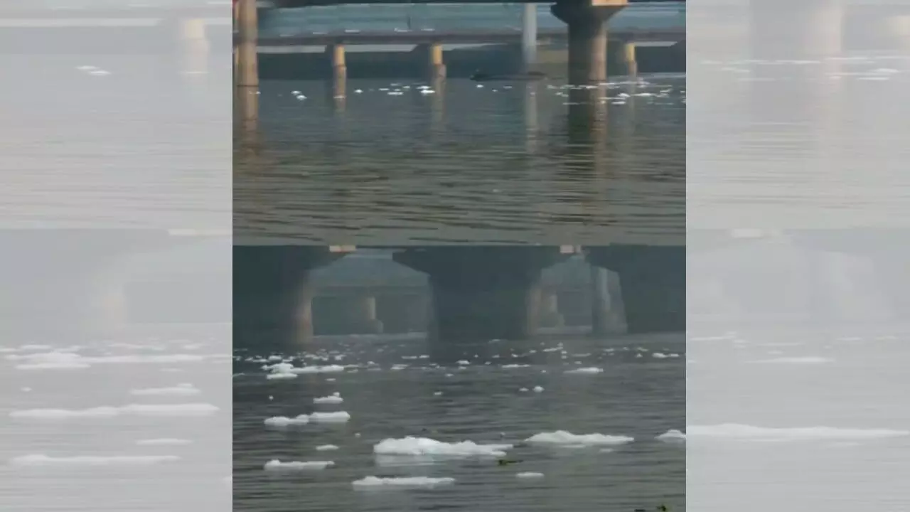 आम आदमी पार्टी की ओर से शेयर किए गए वीडियो का दृश्य। 