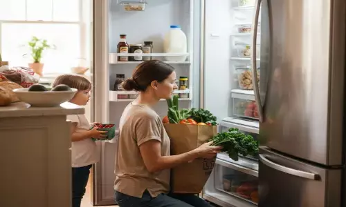 Common fridge cooling problems