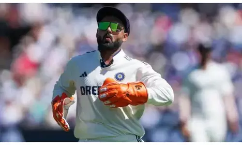 rishabh pant stump mic viral video